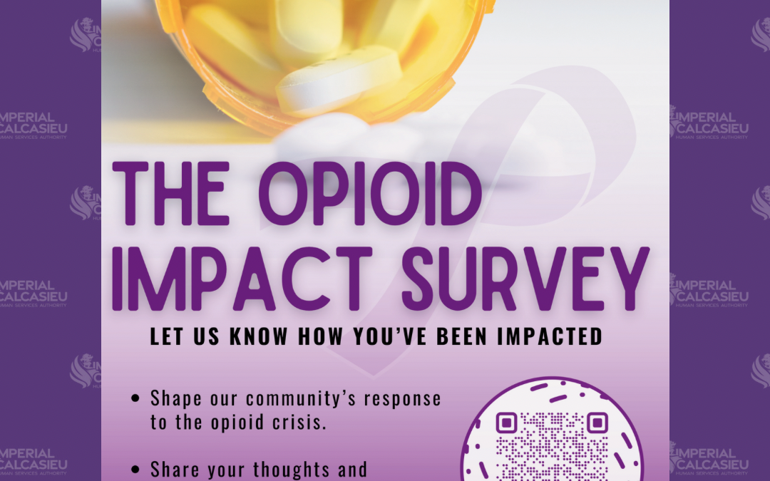 Opioid Impact Survey