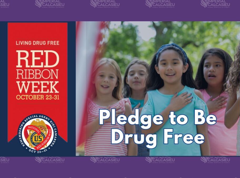 DEA Red Ribbon Pledge