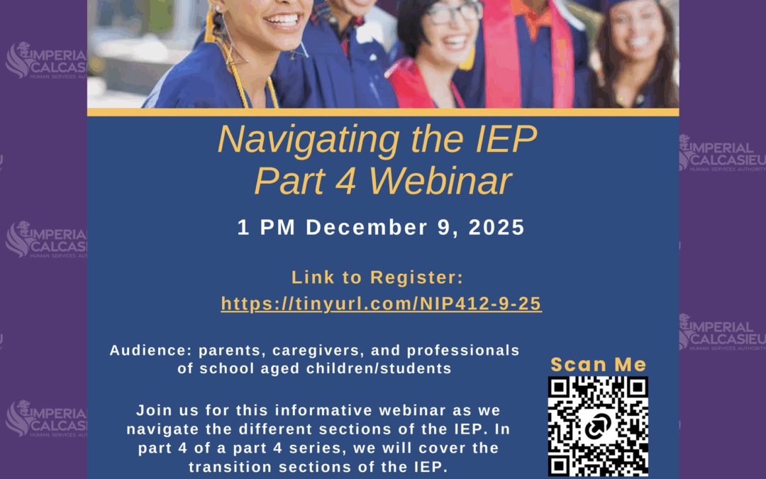Navigating The IEP